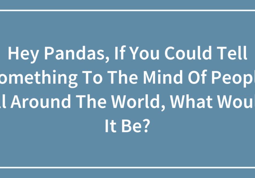 Hey Pandas, If You Could Tell Something To The Mind Of People All Around The World, What Would It Be?