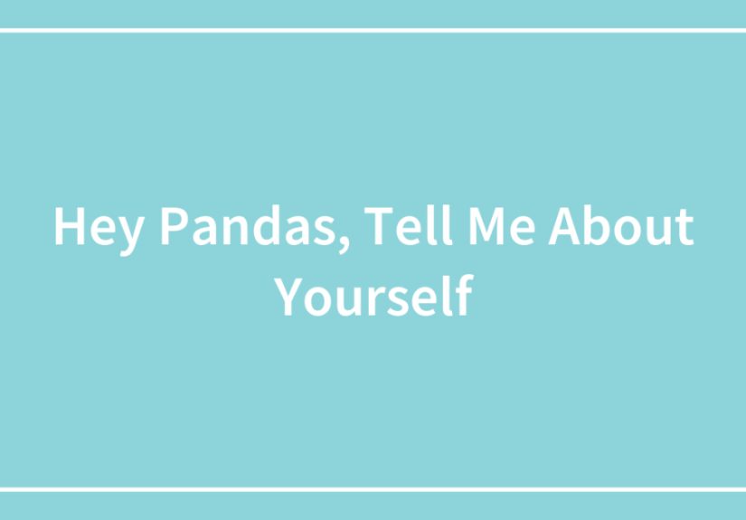 Hey Pandas, Tell Me About Yourself