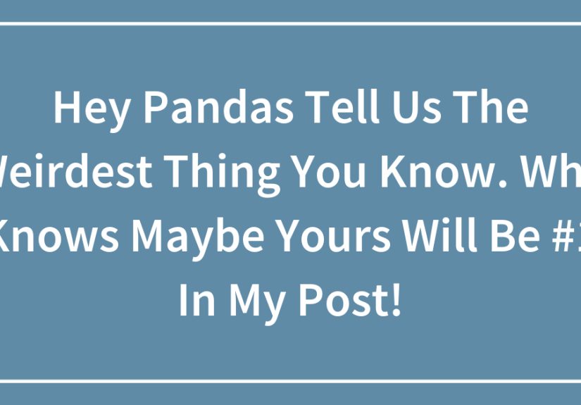 Hey Pandas Tell Us The Weirdest Thing You Know. Who Knows Maybe Yours Will Be #1 In My Post!