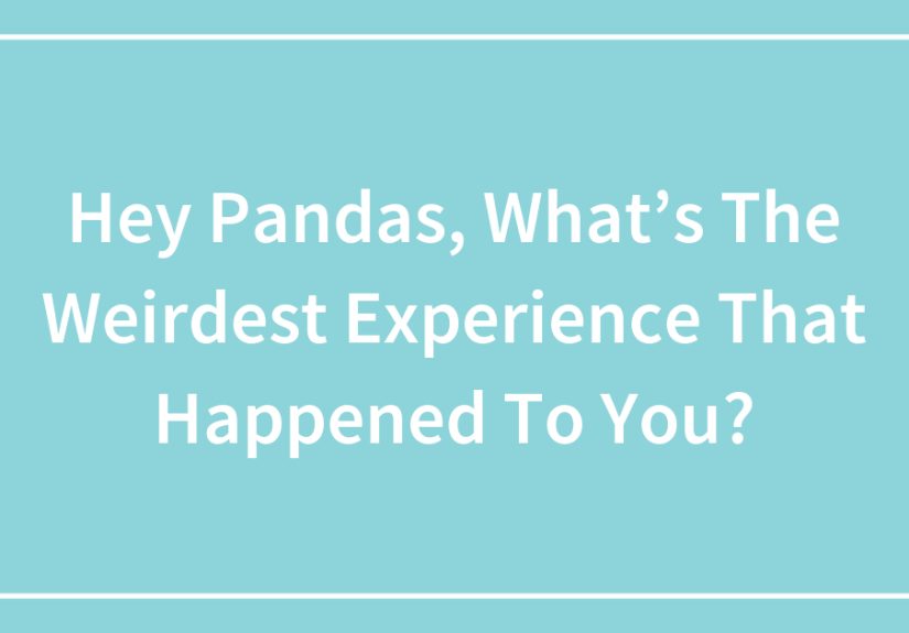 Hey Pandas, What’s The Weirdest Experience That Happened To You?