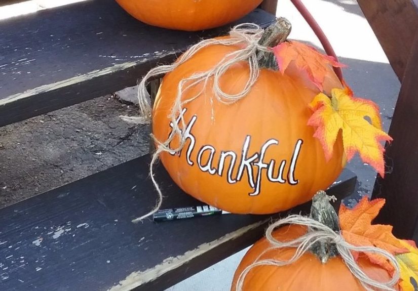 How to Craft Affordable and Chic Fall Pumpkin Decor