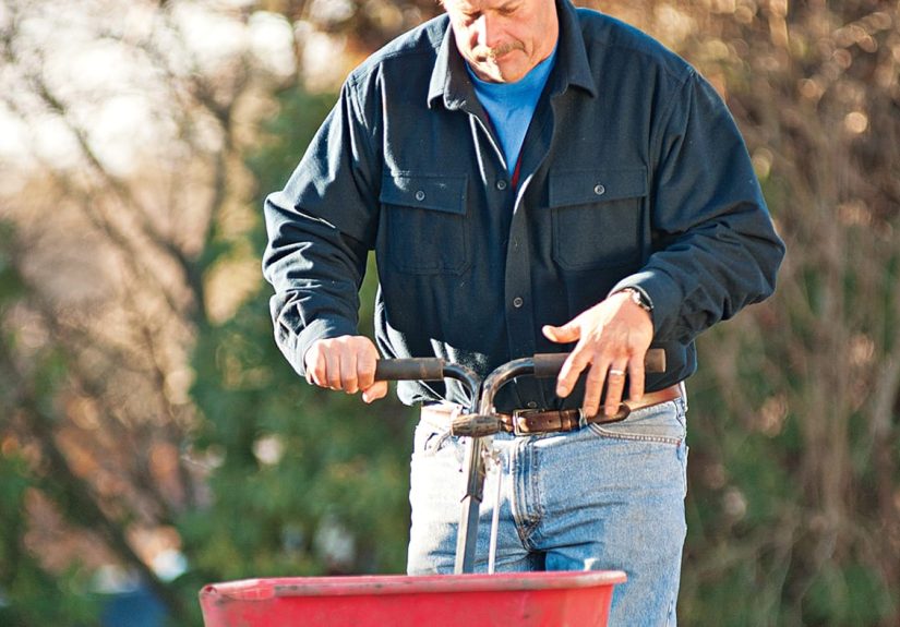 How To Rejuvenate a Dying Lawn - This Old House