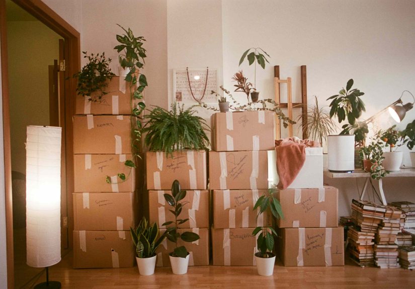 I Just Downsized to a 500 Square Foot Rental4 Tough Choices I Had to Make on Design