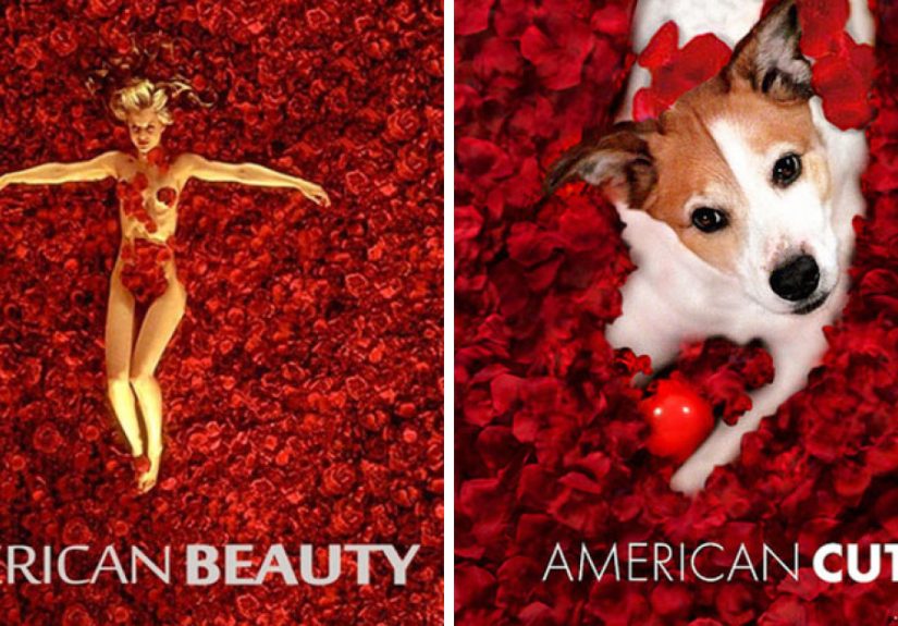 I Photoshop My Dog Into Movie Posters