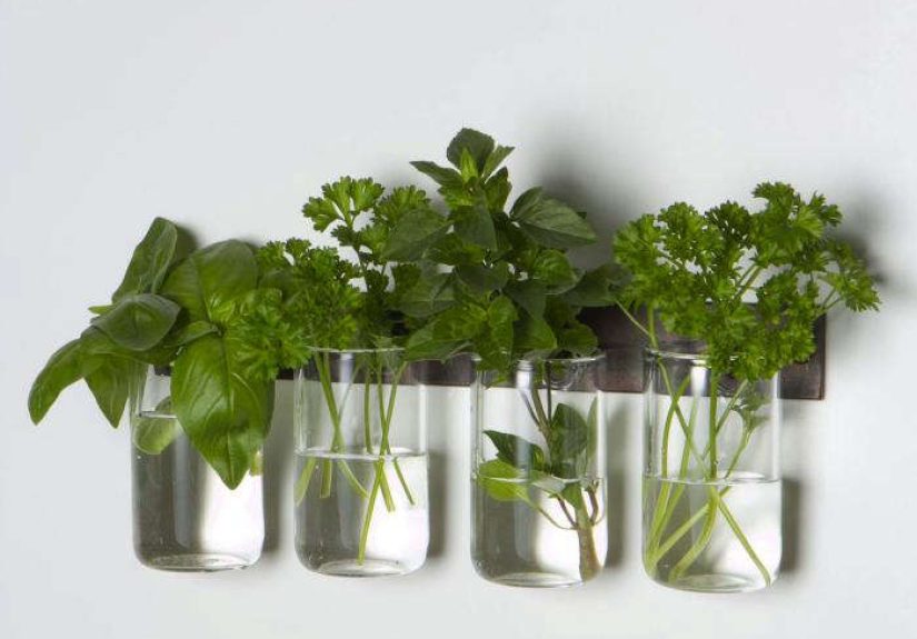 Instant Wall Vase, Inspired by the Shakers