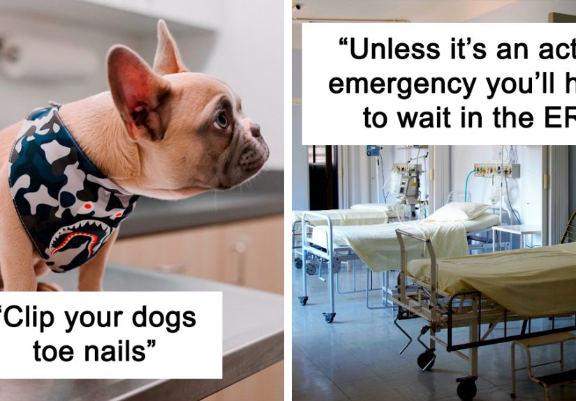 People From Different Professions Are Sharing 30 Things That The General Public Has No Clue About