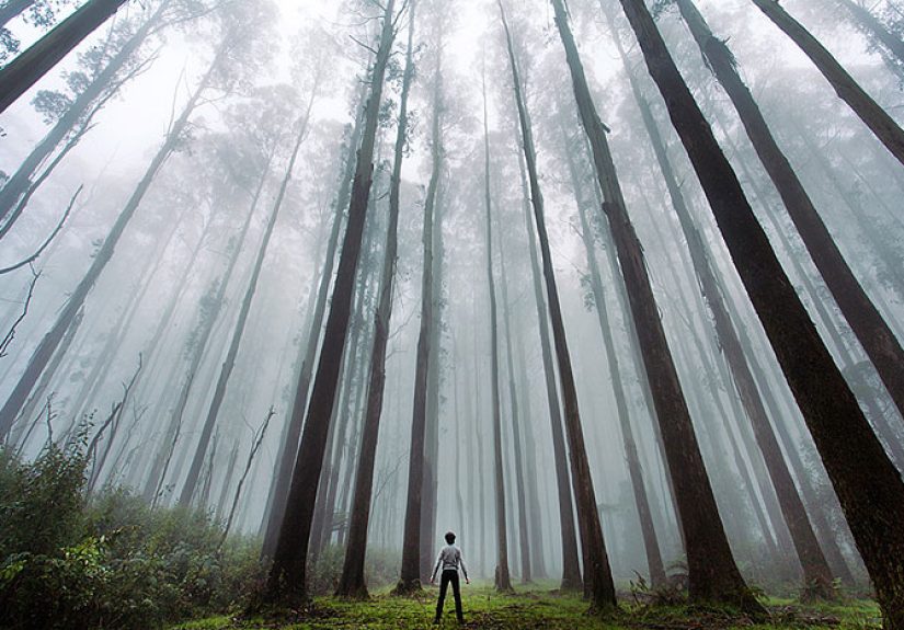 Post Pictures Of Tiny Humans Lost In The Majesty Of Nature