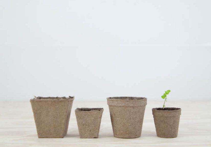 Square Peat Pots Small