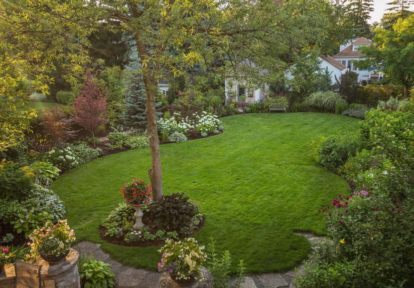 The Best Time to Plant Grass for a Lush, Healthy Lawn