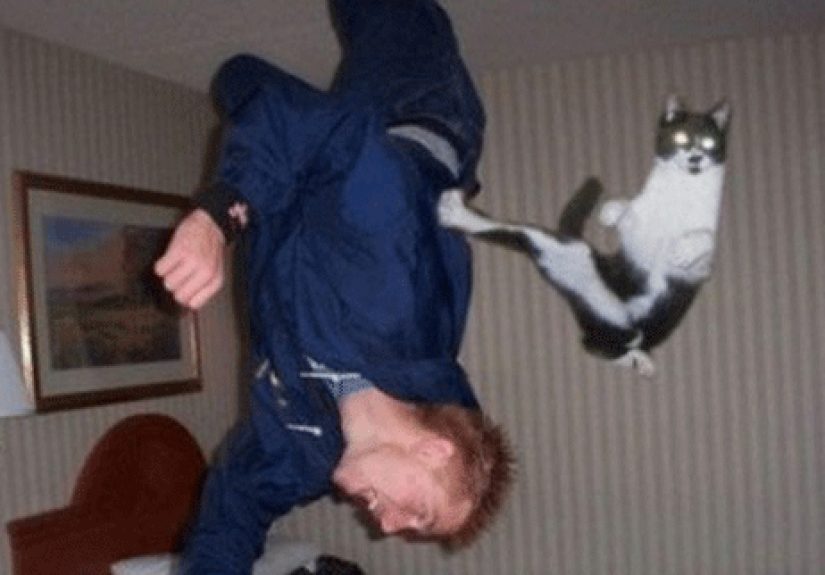 Top 10 Internet Memes and Phenomena