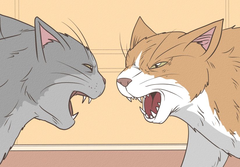 Warrior Cat Name Generator: Unique Ideas
