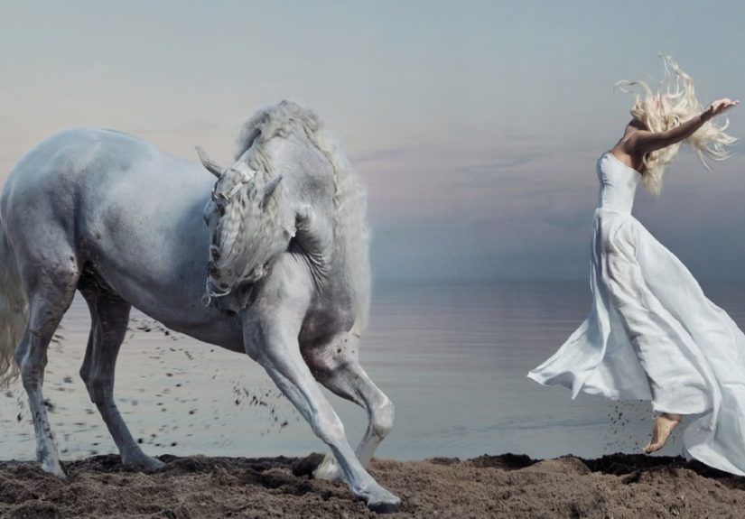Where The Wild Horses Run
