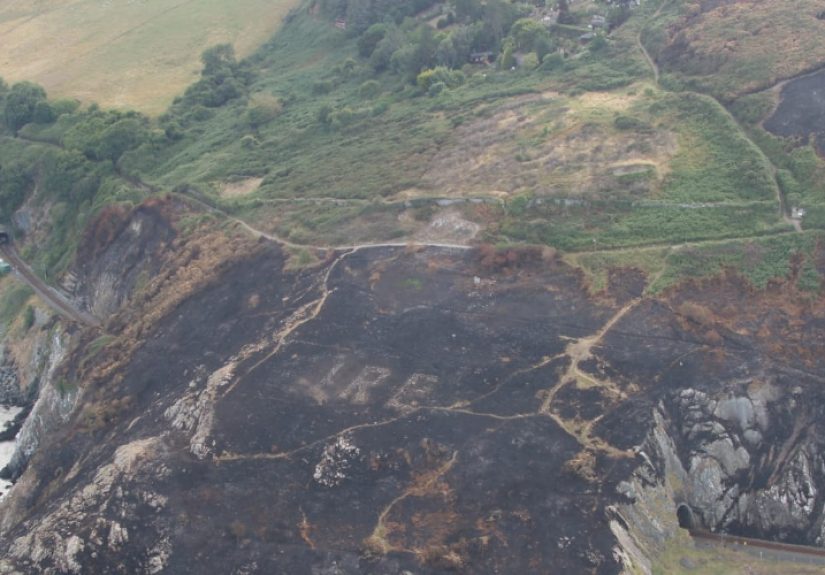 Wildfire Reveals WWII-Era Landmark in Ireland