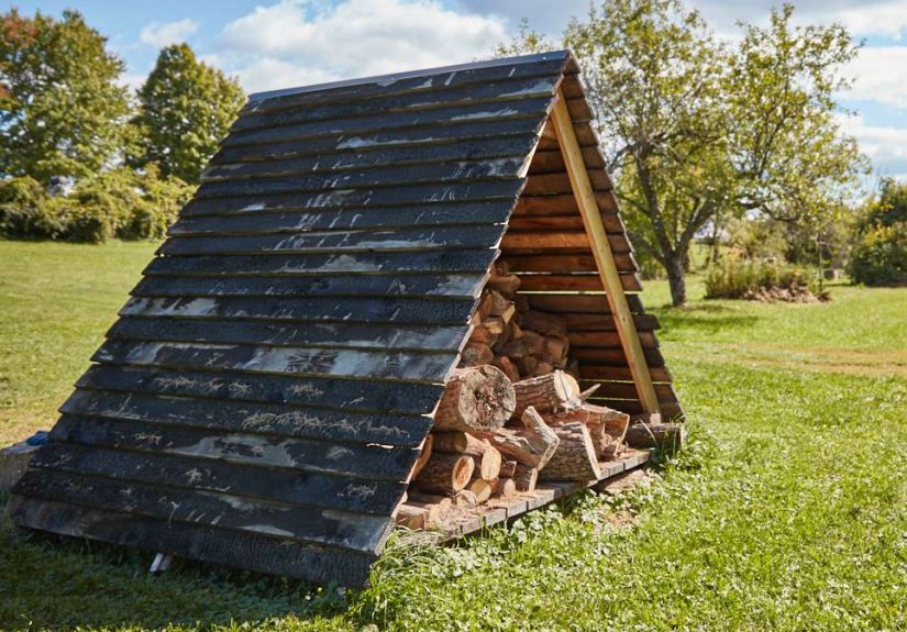 6 Places to Find Free Firewood Near You