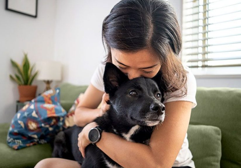 Best medication for allergies to dogs: Types and more