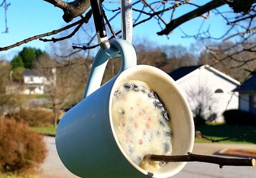 DIY Bird Suet Feeder From Thrifted Coffee Mugs