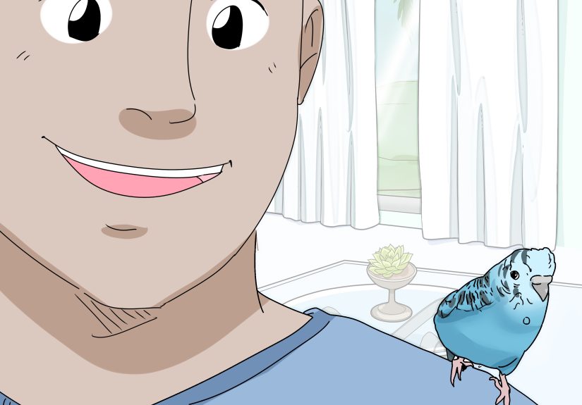 How to Hand Train a Parakeet