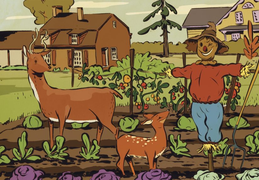 How to Keep Plant-Eating Animals at Bay