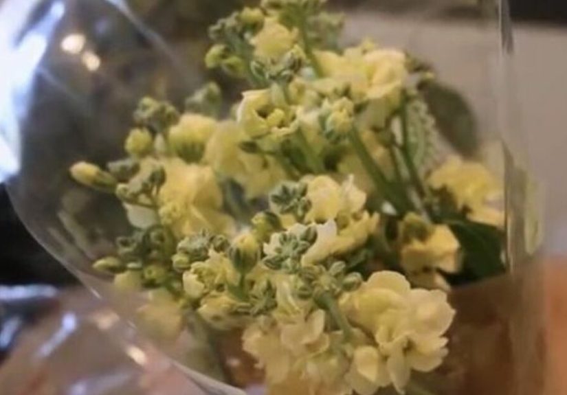 How to Make a DIY Floral Arch Backdrop
