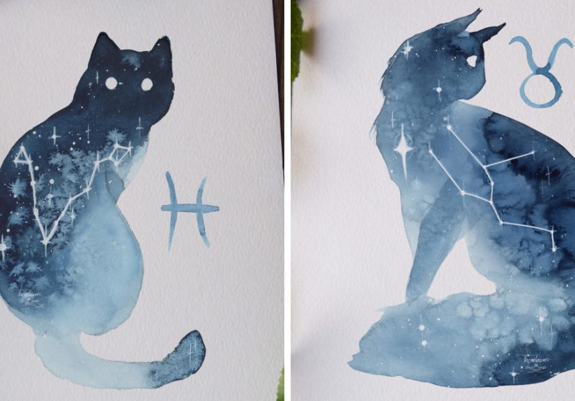 I Painted Twelve Zodiac Sign Constellations As Cats
