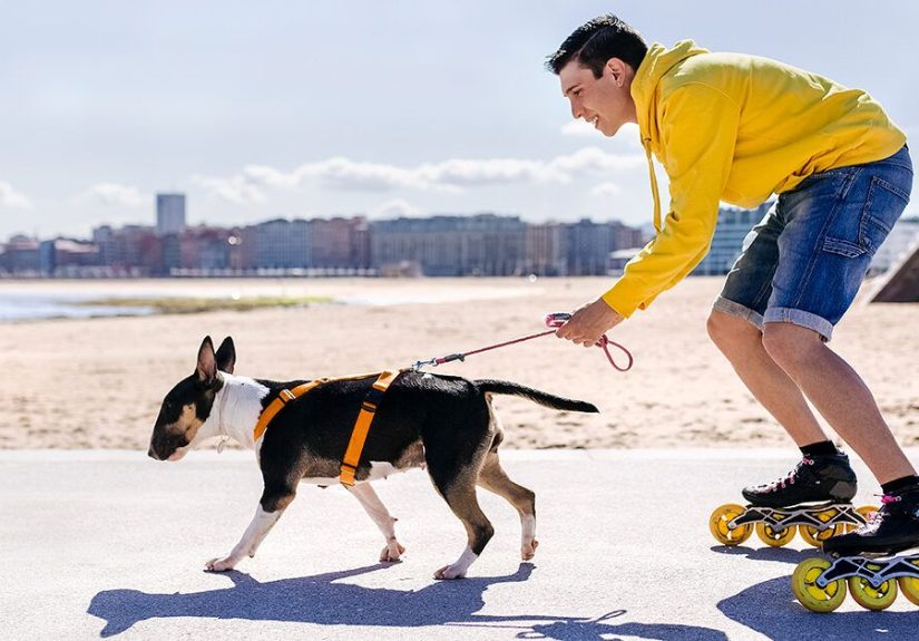 Science Says: This Is How Pets Help Your Mental Health