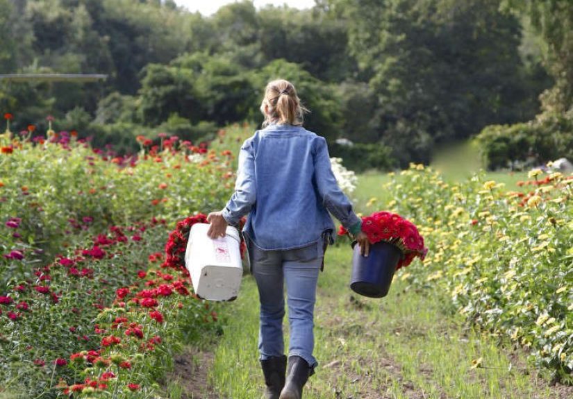 Trending on Gardenista: Style on a Budget